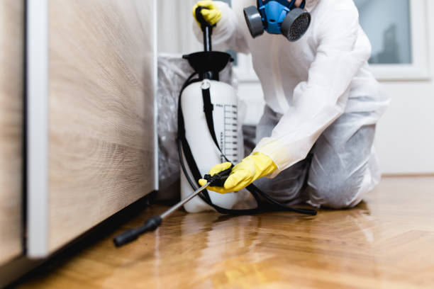 Best Emergency Pest Control  in South Miami Heights, FL