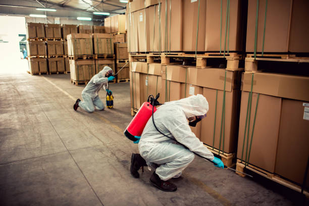 Best Flea Control Services  in South Miami Heights, FL