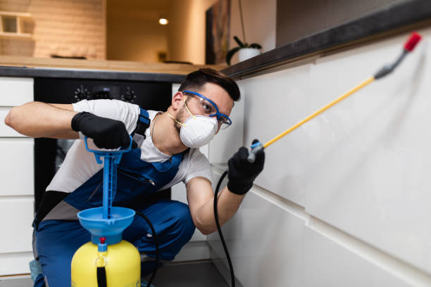 Best Pest Control Near Me  in South Miami Heights, FL