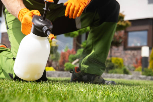 Best Bed Bug Extermination  in South Miami Heights, FL