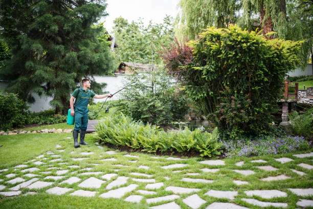 Best Best Pest Control Companies  in South Miami Heights, FL