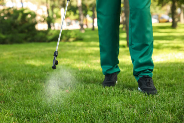 Pest Prevention Services in South Miami Heights, FL