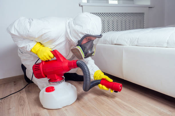 Best Pest Control Near Me in South Miami Heights, FL