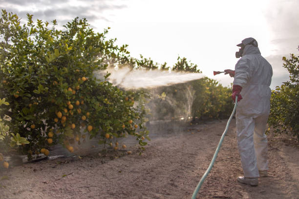 Best Residential Pest Control  in South Miami Heights, FL