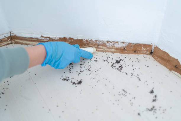 Best Best Pest Control Companies  in South Miami Heights, FL